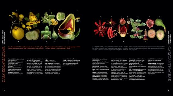 Atlas of Flowering Plants by Schiffer Publishing, Ltd. features detailed illustrations of sectioned tropical flowers and fruits, labeled and arranged in rows above botanical descriptions on a black background, honoring botanical artistry.