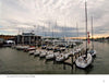 Annapolis Reflections by Schiffer Publishing, Ltd. captures sailboats docked at a marina in Annapolis, Maryland, with calm water and a modern yacht club at sunset—a tranquil harbor town scene with distant waterfront buildings.