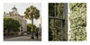 On the left, a historic clock tower and palm tree line a quiet street; on the right, white flowers climb a wall—an image from "Charleston" by Schiffer Publishing, Ltd., capturing the picturesque charm of Charleston’s streets.