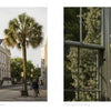 On the left, a historic clock tower and palm tree line a quiet street; on the right, white flowers climb a wall—an image from "Charleston" by Schiffer Publishing, Ltd., capturing the picturesque charm of Charleston’s streets.