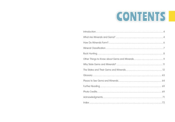 The 50 State Gems and Minerals by Schiffer Publishing, Ltd. features a Table of Contents with blue CONTENTS heading, listing Introduction, State Minerals, Rock Hunting, US State Gems, Glossary, Photo Credits, Index & more—ideal for kids.