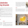 In "How to Create Encaustic Art" by Schiffer Publishing, Ltd., a spread covers painting substrates and grounds with encaustic techniques, featuring text, red headings, and photos of hands with paper and an artist painting a yellow abstract on a textured wall.