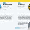 The 50 State Gems and Minerals by Schiffer Publishing, Ltd. is a kids' guide featuring Arizona turquoise, wulfenite, Arkansas diamond, quartz photos, maps of mineral sites, and fun facts in an engaging US state gems and minerals brochure spread.