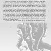 A grayscale flyer highlights Fork Church and its history, referencing "Haunted Richmond II" by Schiffer Publishing, Ltd., a Ralph Waldo Emerson quote, and a blurred organic background. The church’s website is also included.