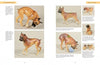 A catalog spread from Schiffer Publishing, Ltd.’s "More Hagen-Renaker Pottery" showcases collectible ceramic Boxer dog figurines in various poses, with descriptive notes about each piece displayed beside the images.