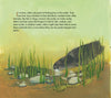 In Saving Squeak by Schiffer Publishing, Ltd., an otter swims among plants and rocks as text explains how wildlife rehab teaches rescued otters to use whiskers and paws to find prey in murky or shallow water.