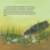 In Saving Squeak by Schiffer Publishing, Ltd., an otter swims among plants and rocks as text explains how wildlife rehab teaches rescued otters to use whiskers and paws to find prey in murky or shallow water.