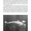 A black-and-white photo shows two large, pale river carps swimming above a rocky riverbed. The text from "Strange Monsters of the Pacific Northwest" by Schiffer Publishing, Ltd. discusses American fish and rumored sea monsters. Page 72.