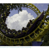 A bright yellow and purple coaster soars through a vertical loop amid trees and clouds, capturing the excitement of American Coasters by Schiffer Publishing, Ltd.