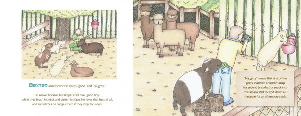 At a lively petting zoo, a playful goat steals a visitor’s map as others watch, inspiring the charming children’s book "Dexter the Very Good Goat" from Schiffer Publishing, Ltd.