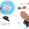 A creative kids craft tutorial from Schiffer Publishing, Ltd. shows how to make a fly using Wood, cardboard wings, and paint, with step-by-step images and fun text guiding the project from start to finish.