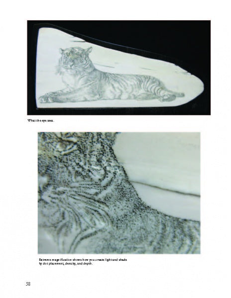 Top: "Scrimshaw Techniques" by Schiffer Publishing, Ltd. features a detailed tiger drawing on a curved surface—ideal for ivory substitutes guides. Bottom: A close-up reveals the fur texture made with fine dot patterns using classic scrimshaw methods.