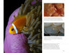 A vibrant orange clownfish with a white stripe swims among pink and green anemone tentacles—ideal for scuba fans—beside informational text and marine close-ups, featured in "Underwater Photography" by Schiffer Publishing, Ltd.
