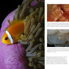 A vibrant orange clownfish with a white stripe swims among pink and green anemone tentacles—ideal for scuba fans—beside informational text and marine close-ups, featured in "Underwater Photography" by Schiffer Publishing, Ltd.