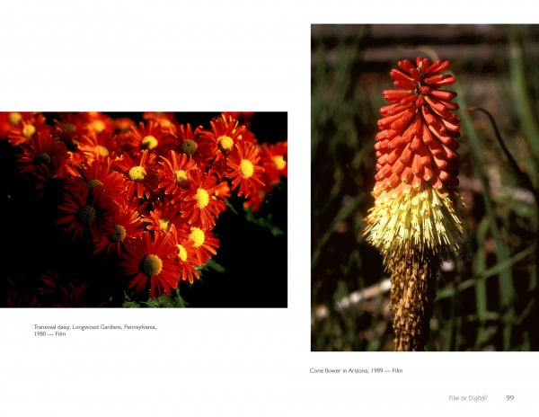 A striking outdoor photo from "The Art of Flower Photography" by Schiffer Publishing, Ltd. features vibrant orange and yellow daisies on the left and a single upright torch-like red and yellow flower on the right.