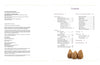 On the left page, Gourd Lights by Schiffer Publishing, Ltd. lists copyright and publication info; on the right, the table of contents features section titles, page numbers, step-by-step lamp instructions, and four brown pears at the bottom.