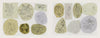 Classic Tattoo Stencils by Schiffer Publishing, Ltd. features hand-drawn sketches of roses, hearts, banners, and stars on colored paper, grouped on a white background in a vintage American tattoo style.
