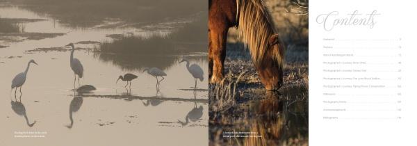 Wading birds in shallow sunrise waters and a wild horse at a pond appear on the cover of “Natural Wonders of Assateague Island” by Schiffer Publishing, Ltd., with a table of contents overlaying the wildlife scene.