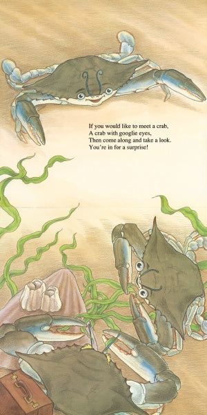 Meet Chadwick and His Chesapeake Bay Friends by Schiffer Publishing, Ltd. features a charming page with three blue crabs underwater near seaweed and seashells and a rhyming tale about meeting a crab with googly eyes, perfect for preschoolers.