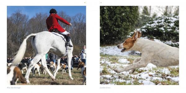 In "Brandywine Valley" by Schiffer Publishing, Ltd., one image features a person in a red coat riding a white horse among hounds outdoors, while another shows a hound running through snowy bushes.