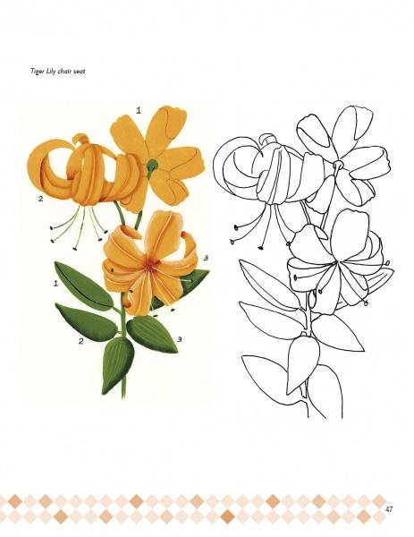 Illustration of a yellow tiger lily with labeled parts beside a line drawing—an inspiring image for chair painting, as featured in Decorating Chairs: 7 Painting Projects by Schiffer Publishing, Ltd.