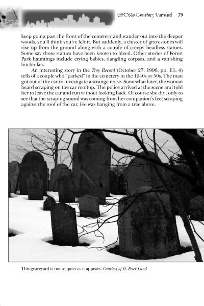 Empire State Ghosts" by Schiffer Publishing, Ltd.: A black-and-white photo captures a snowy graveyard with weathered headstones and bare trees, evoking New York’s haunted past with an eerie, ghostly ambiance.