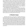 A page from Chicago's Unsolved Crimes & Mysteries by Schiffer Publishing, Ltd., discusses haunted cemeteries, ghost hunters, and supernatural events in Bachelor’s Grove. Page 18 features a city skyline graphic at the bottom.