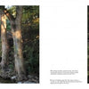 Two pages from Schiffer Publishing, Ltd.'s book "Texas Hill Country" display scenic photos: one of a lush green waterfall and pond, the other of a sunlit stream winding through a dense forest.