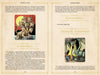 A two-page spread from "Monsters and Mythical Creatures from around the World" by Schiffer Publishing, Ltd. shows a multi-headed beast under a red sun labeled Caladrius and a green dragon with Cockatrice and Dragon myths on parchment-style backgrounds.