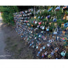 In Ashland, Oregon, a wire fence along a park path is adorned with colorful padlocks and tags, symbolizing love or memories, as described in "Ashland, Oregon" by Schiffer Publishing, Ltd. Trees and greenery frame the scenic walkway.