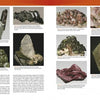 Di- and Ring Silicates Mineral