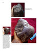 A hand displays a dark meteorite with a smooth, cracked surface from various angles on a red background—perfect Meteorites images for collectors' guides from Schiffer Publishing, Ltd. Some photos include a blue measuring scale.
