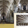 Discover "Cathedrals Built by the Masons" from Schiffer Publishing, Ltd.—featuring breathtaking Gothic interiors with vaulted ceilings, stone columns, and pews, plus inset images highlighting intricate ceilings and ornate stonework.