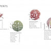 The "Organic Embroidery" table of contents by Schiffer Publishing, Ltd. features botanical illustrations—brown spiraled shapes, red maple leaves, green moss, and more—with large white page numbers to inspire fiber artists.