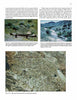 A page from "Paleozoic Fossils" by Schiffer Publishing, Ltd. features three color photos: a wooden rail by fossil burrows in red rock, trace fossils on a bluish hillside, and close-up burrows in sediment, each with descriptive captions.