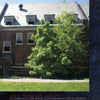 The weathered brick building with a steep gray roof, featured in "Lost in the Darkness" by Schiffer Publishing, Ltd., stands in sunlight, its abandoned, haunted-asylum look intensified by overgrown trees and an eerie, forgotten atmosphere.
