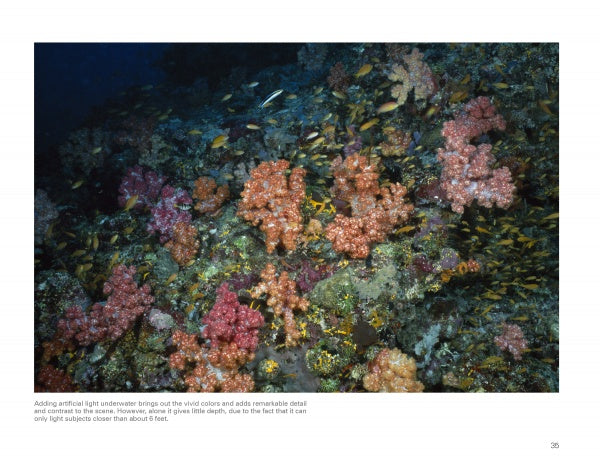 Captured in "Underwater Photography" by Schiffer Publishing, Ltd., vibrant coral and lively fish glow under artificial camera light, showcasing striking reds, pinks, and yellows—a stunning underwater scene for scuba enthusiasts.