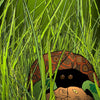 A scene from Schiffer Publishing, Ltd.'s "The Turtle Tank": A turtle with a patterned shell peers out from tall green grass, its clever camouflage blending perfectly among the lush shades of nature.