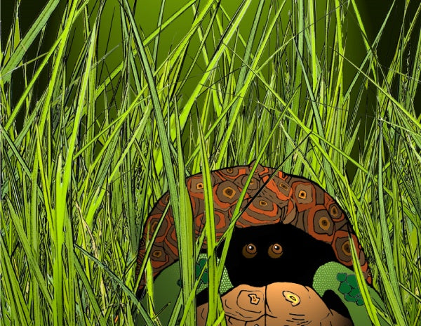 A scene from Schiffer Publishing, Ltd.'s "The Turtle Tank": A turtle with a patterned shell peers out from tall green grass, its clever camouflage blending perfectly among the lush shades of nature.