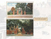 Two vintage postcards of Cambridge, Massachusetts from Schiffer Publishing, Ltd. feature ornate brick and iron gates near Harvard Square, with trees and buildings in the background. Each postcard is valued at 85 cents.