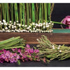 Perishable Poetics" by Schiffer Publishing, Ltd. lies open, pages edged in green florals and pearls. Pink and purple blooms with greenery are arranged in front, offering floral inspiration. The contents page appears on the right.