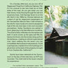 A page from "Spiritland: Ghosts of California's Central Coast" by Schiffer Publishing, Ltd. shows Cold Springs Tavern’s rustic charm with a sunlit photo, recounting its haunted history and paranormal tales from California's central coast.