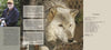 A book spread from "Wolf Sanctuary" by Schiffer Publishing, Ltd. shows a man with a camera, quote text boxes, and a close-up wolf photo on the left, with the table of contents listing chapters and pages on the right.