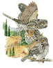 Small Mountain Owls" by Schiffer Publishing, Ltd. features three owls in a forest clearing—one perched, one flying, and one with prey—amid pine trees and distant Rocky Mountains-inspired scenery.