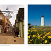 Left: People walk past shops at Penny Lane Mall under a hanging sign. Right: The Cape Hatteras Lighthouse rises behind yellow blooms, reminiscent of the Delaware coast in Rehoboth Reflections by Schiffer Publishing, Ltd.
