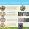 A page from "In Mouse's Backyard" by Schiffer Publishing, Ltd. displays close-up illustrations of insects, tree bark, and a frog with labels, set against teal and green blocks showing Mouse’s backyard habitat.