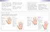 A page from "Your Health in Your Hands" by Schiffer Publishing, Ltd. shows four illustrated palm types—Earth, Fire, Air, and Water—with labels. Sidebars discuss hand analysis and health clues; surrounding text explains each detailed image.