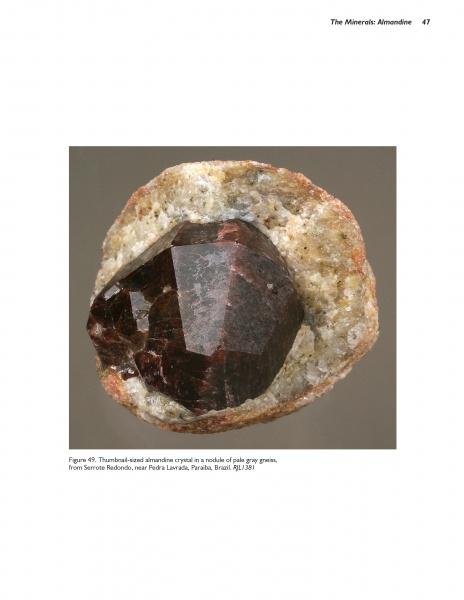The "Collector's Guide to the Garnet Group" by Schiffer Publishing, Ltd. is an essential resource for mineral collectors and gemology enthusiasts interested in garnets, offering detailed insights into these prized specimens.