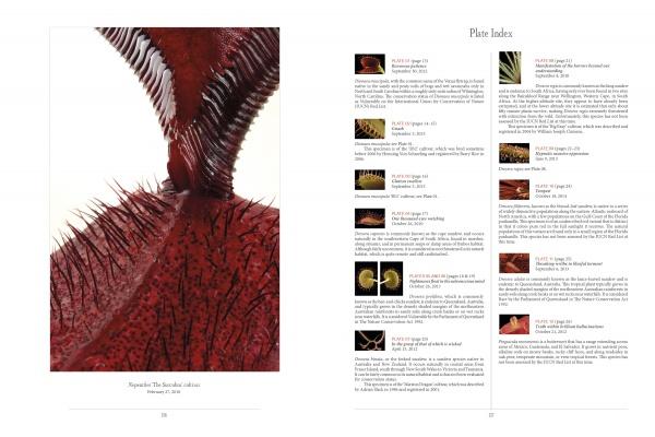 A close-up of the serrated, red mouthparts of a carnivorous plant appears on the left page; right page features a detailed plate index—making "The Sinister Beauty of Carnivorous Plants" by Schiffer Publishing, Ltd. ideal for botany enthusiasts.