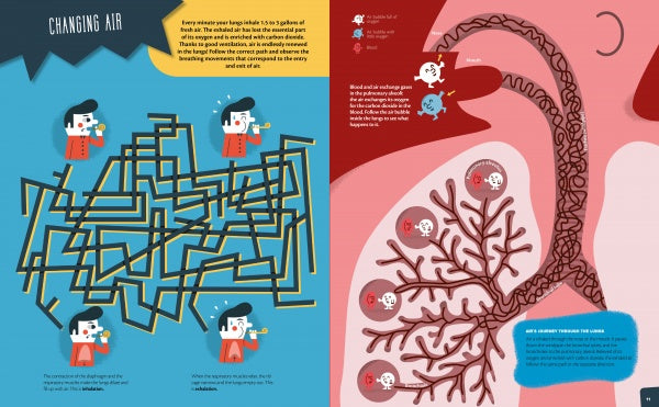 A vibrant two-page spread from Schiffer Publishing, Ltd.'s The Human Body shows a man blowing a trumpet in a body maze on the left, and lung airways with cartoon faces illustrating air flow on the right.